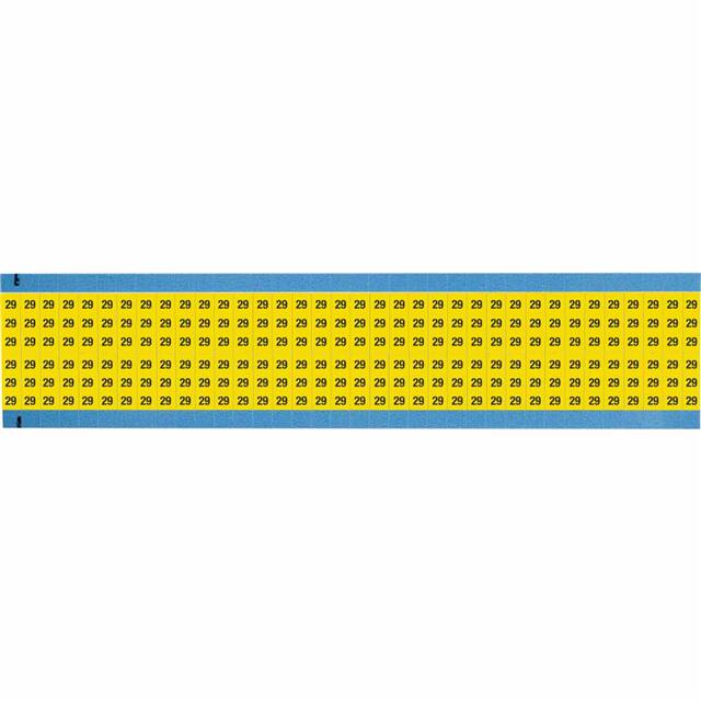 WM-29-YL-SC-PK