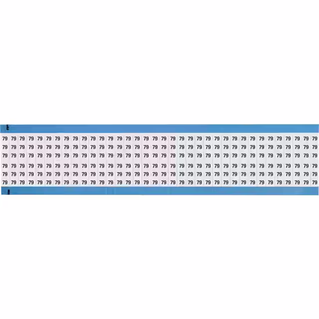 WM-79-SC-PK