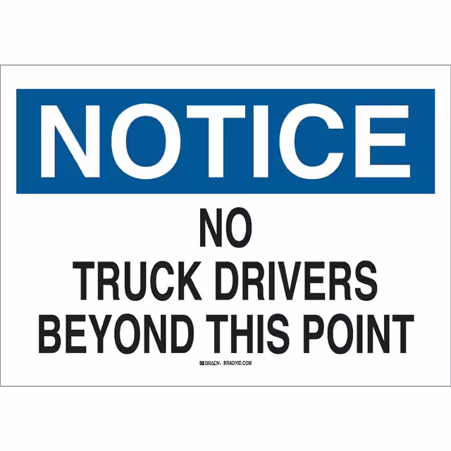 43407